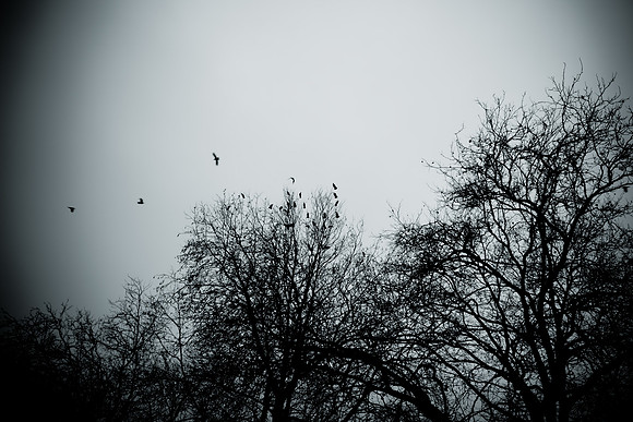 0014SDIM0028