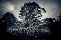 Heiss_Portfolio-_GAH6608