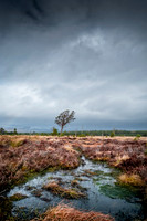 Heiss_Portfolio-_GAH6645