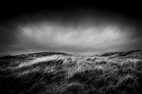 Heiss_Portfolio-_GAH6558