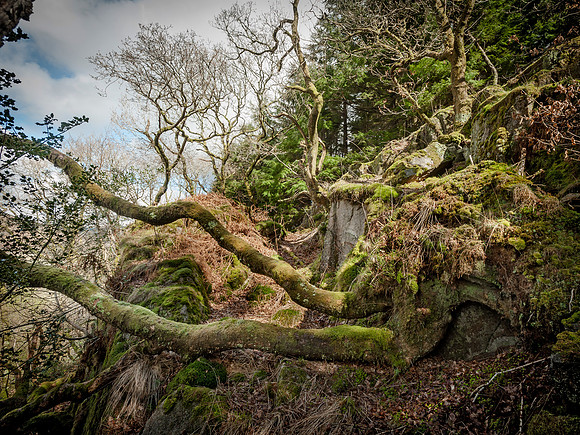Heiss_Portfolio-Heiss-_GH78648