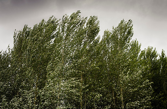 Heiss_Portfolio-SMP-1533