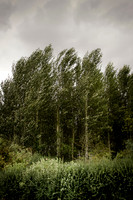 Heiss_Portfolio-SMP-1534