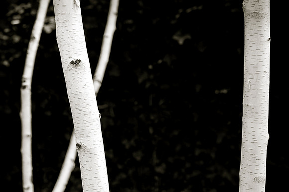 Heiss-022