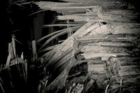 Arbor-0001-GH-2012