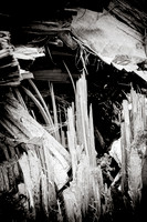 Arbor-0002-GH-2012