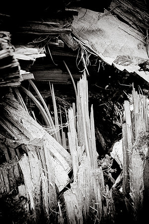 Arbor-0002-GH-2012