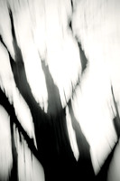 Arbor-0005-GH-2012