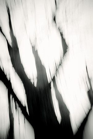 Arbor-0005-GH-2012