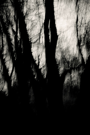 Arbor-0007-GH-2012