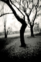 Arbor-0008-GH-2012