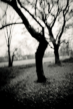 Arbor-0008-GH-2012