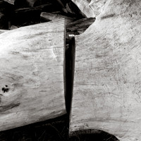Arbor-0009-GH-2012