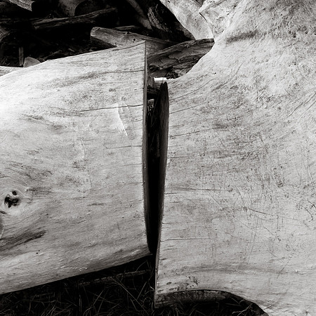 Arbor-0009-GH-2012