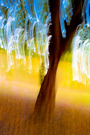 Arbor-0010-GH-2012