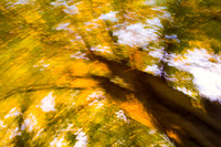 Arbor-0012-GH-2012
