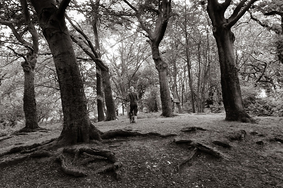 _GAH0039