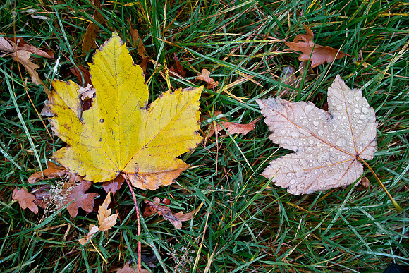 Heiss_Portfolio-002-2