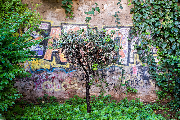 _DSF9133-Edit