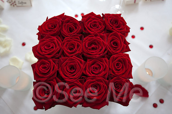SMP-352JAD_7048