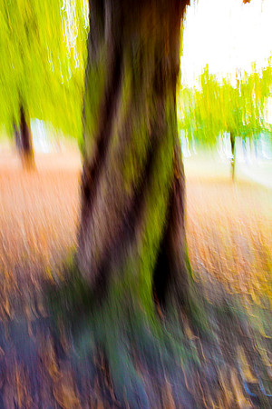 Heiss_Portfolio-001-3