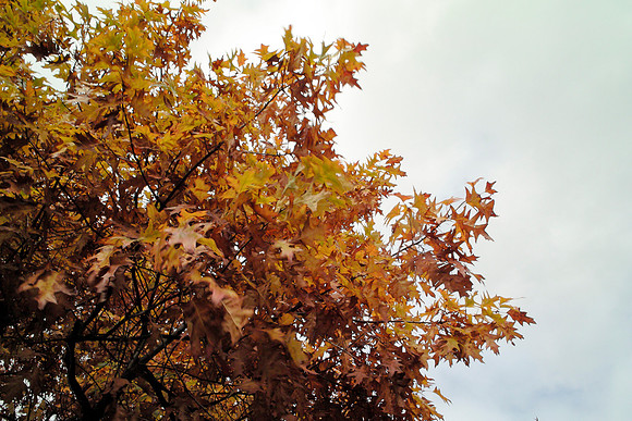Heiss_Portfolio-009