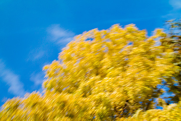Heiss_Portfolio-008