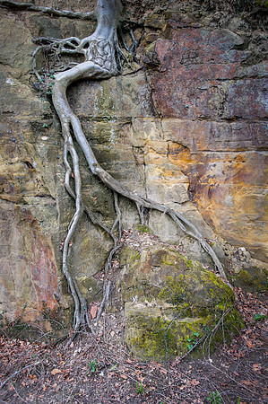 _DSC3254Heiss