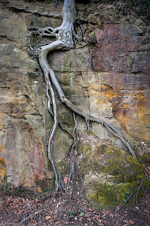 _DSC3253Heiss