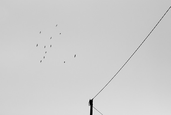GH_IRD_-5460
