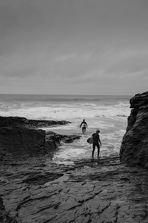 _DSF8548