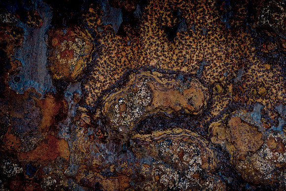 _DSF1677Heiss