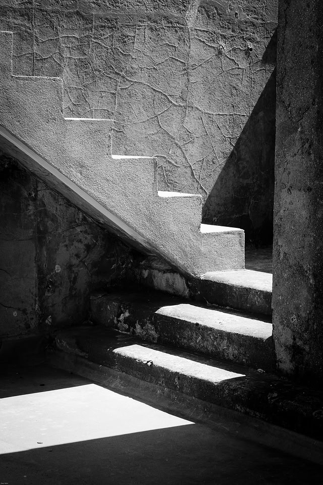 _DSF1777Heiss