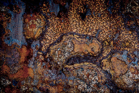 _DSF1677-IRIDHeiss