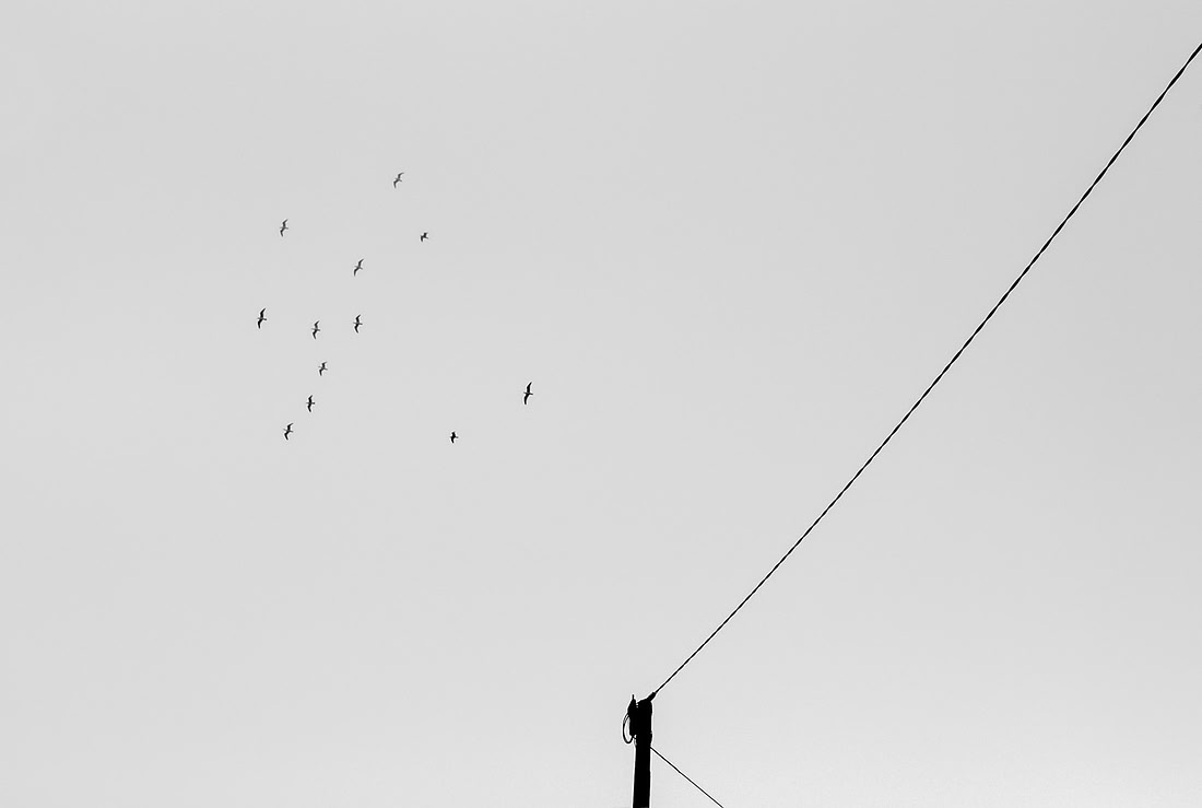_DSF5460