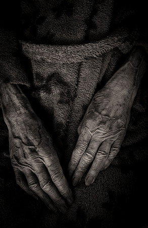 _DSF7398