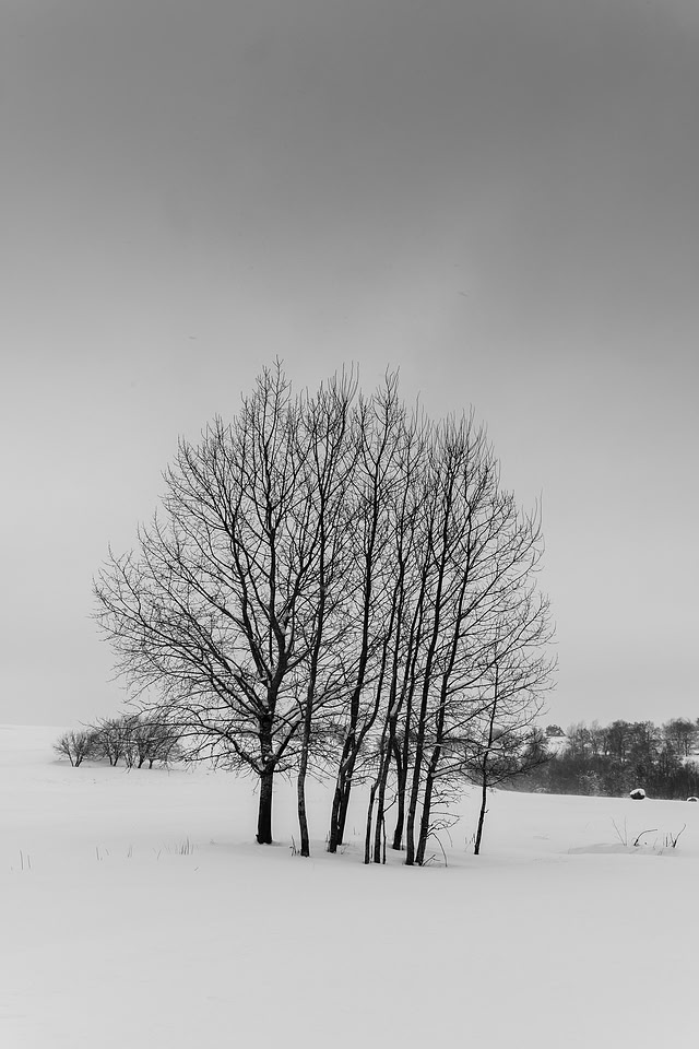 _DSF6379
