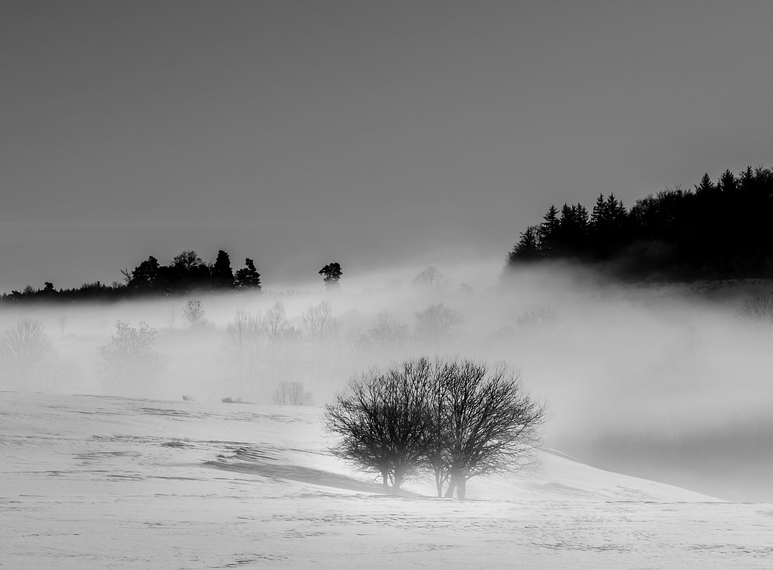 _DSF6752-2