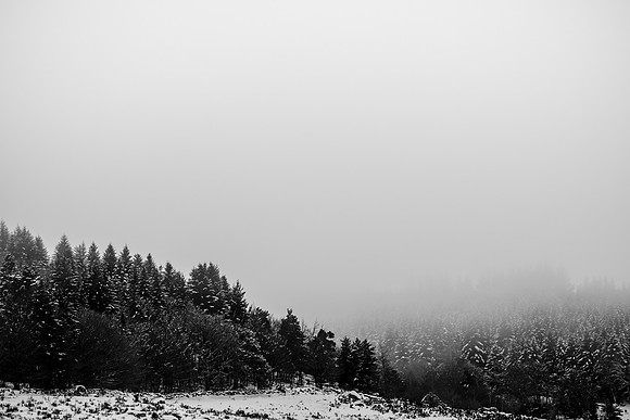 _DSF6271