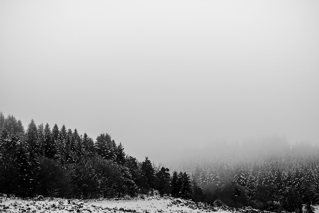 _DSF6271
