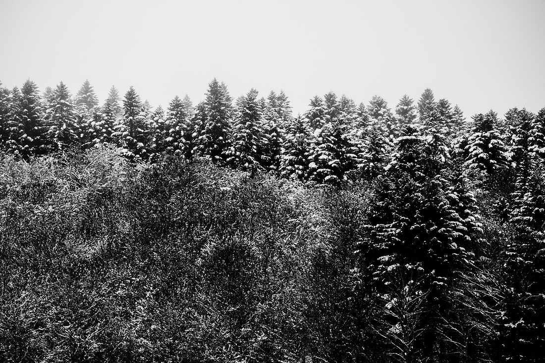 _DSF6209
