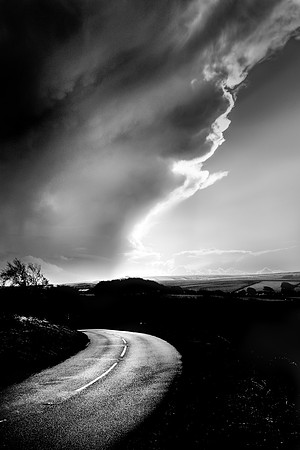 _DSF5079-IRID2