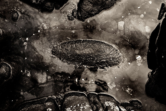 _DSF7623-GH-Edit-2
