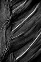 _DSF7785