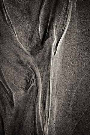 _DSF7790