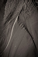 _DSF7799