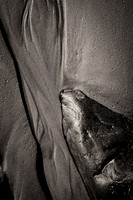 _DSF7818