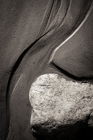 _DSF7824