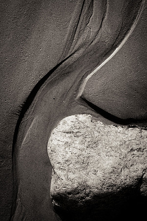 _DSF7827