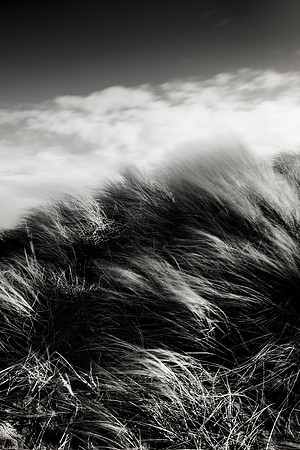 _DSF7852-GH-Edit